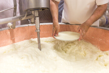 Parmesan cheese prduction process in Bologna Italy © Maria