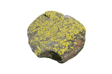 stone covered with green lichen isolated on white background © Svitlana