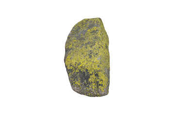 vertical stone covered with green lichen isolated on white background © Svitlana