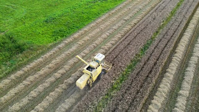 Combine harvester on a field during harvest season in Mazowsze region in Poland