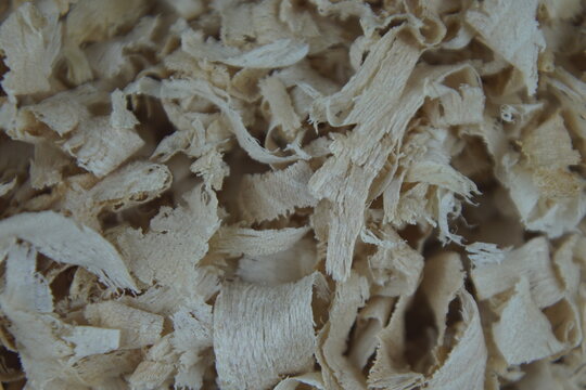 Macro photography of organic light wood shavings and sawdust texture background