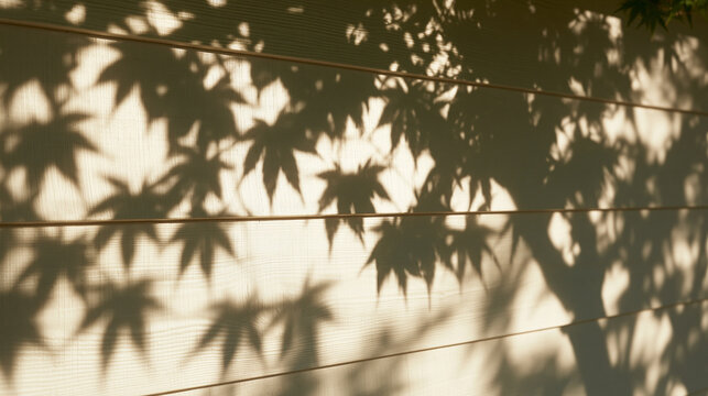 Shadows of Maple Tree Leaves on Exterior Wall