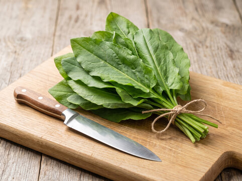 Fresh sorrel leaves bundle with a knife on a wooden cutting board