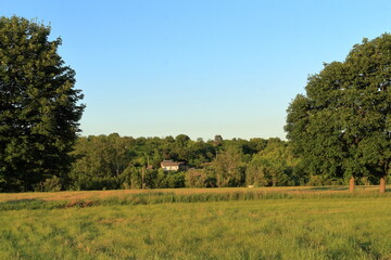 Fototapeta premium A house in a field
