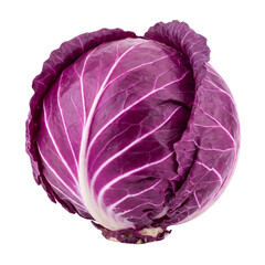 Obraz premium Whole red cabbage head isolated PNG cutout for produce
