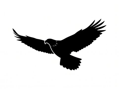 Flying eagle silhouette on white background. Eagle silhouette vector design.