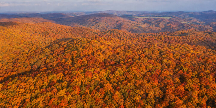 Autumn Forest Aerial Aerial Drone Landscape