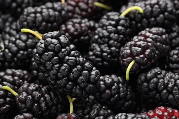 Many fresh mulberries as background, closeup view © New Africa