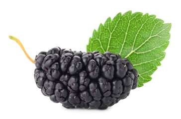 Fresh mulberry with green leaf isolated on white © New Africa