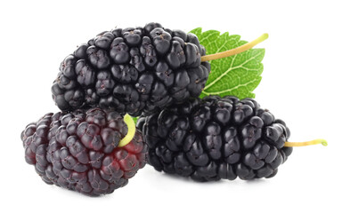 Fresh mulberries with green leaf isolated on white © New Africa
