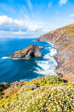 Volcanic cliffs and Roque de Santo Domingo sea stack framed by blooming wild flowers on the coast of La Palma, Canary Islands, Spain