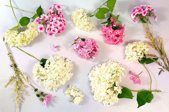 Pattern of different varieties of phlox and garden hydrangeas on a bright sunny background, advertising banner for summer and autumn products, abstract floral arrangement, flat lay still life,