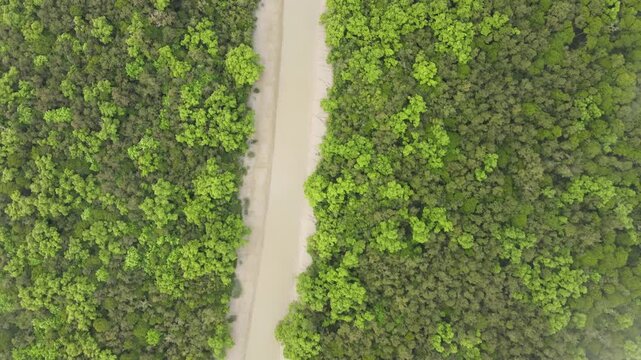 Top Down Aerial View of Mist Drifting Over Sundarbans Mangrove Forest