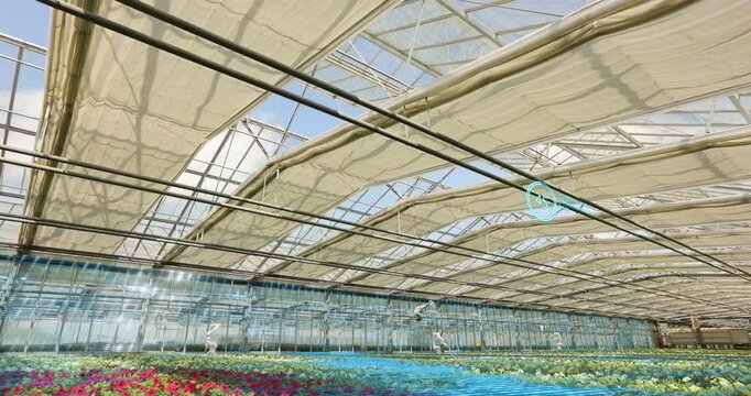 Smart Greenhouse with AI Robots and Drones for Automated Plant Production. Autonomous Robots and Drones Working in Modern Smart Greenhouse.