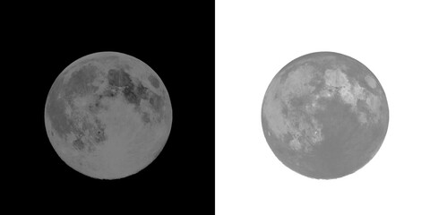 Gray realistic full moon surface texture. Featuring detailed lunar craters, cosmic satellite, astronomy and space art. Transparent Background © Nargis