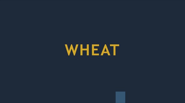 Wheat commodity market price chart animation: financial trading data visualization 4k finance
