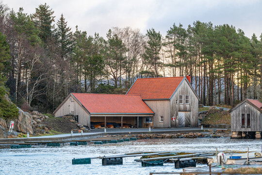Traditional wooden boathouses and forest backdrop along quiet coastal harbor.