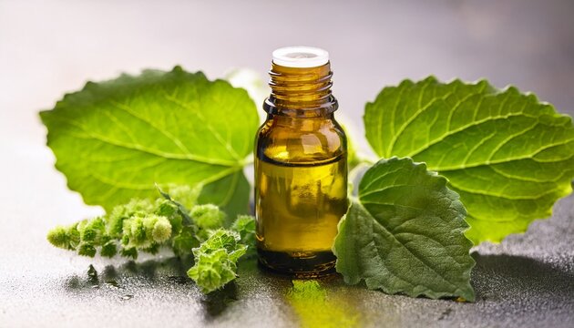patchouli essential oil in the glass bottle with fresh patchouli leaves patchouli oil aromatic oil cosmetic product