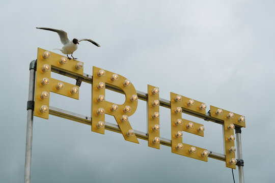 Friet sign with seagull above a food truck against a cloudy sky. Friet is the dutch word for French fries.