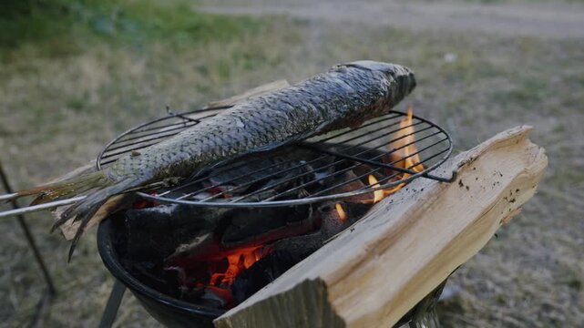 Grilled fish on a charcoal barbecue grill with flames and wooden logs, set in a natural outdoor environment with grass and trees in the background