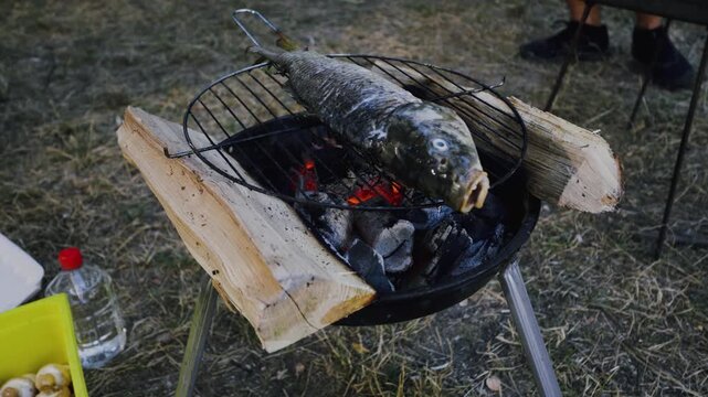 Grilled fish cooking on a charcoal barbecue with glowing embers, surrounded by wooden logs and outdoor elements in a natural setting