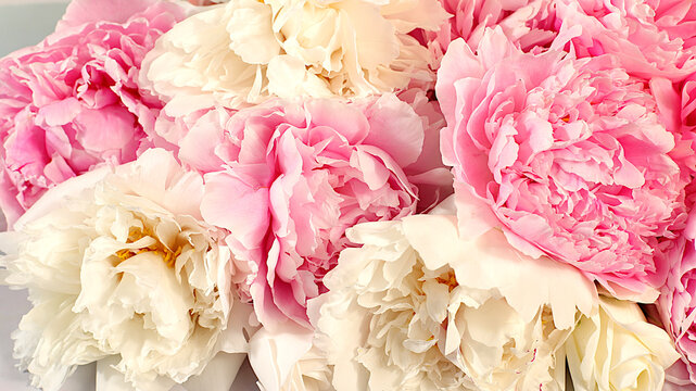 Abstract floral arrangement featuring blooming peony petals, flat design template for a beautiful summer banner. Concept of minimalist modern aesthetics and elegant beauty,wedding greeting card.