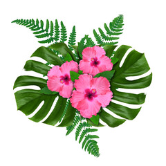 Hibiscus flowers and green leaves in tropical composition on white background © New Africa