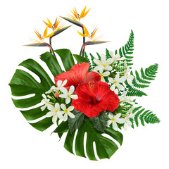 Tropical floral composition with red hibiscus, strelitzia and plumeria flowers on white background © New Africa