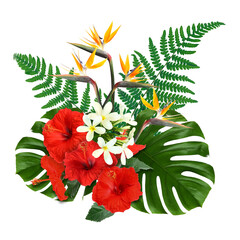 Tropical floral composition with red hibiscus, strelitzia and plumeria flowers on white background © New Africa
