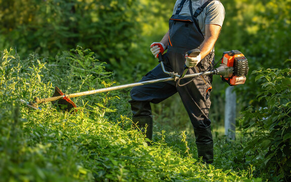 A gardener stands in a green area, holding a string trimmer and cutting down grass and weeds. The sun sets, creating a natural light effect among the trees