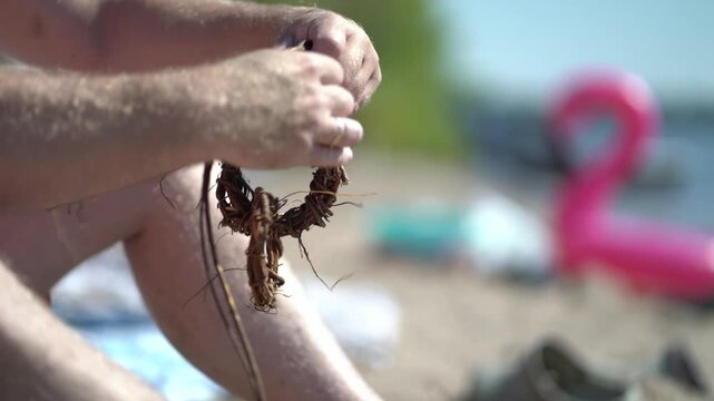 Close-up of a man hands on the beach crafting a chain of circles from twisted roots and vines while relaxing on the sand during a leisurely summer outdoor day.
