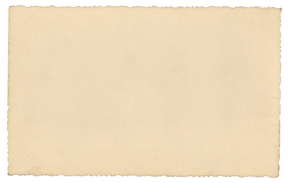 Old photo paper with scalloped edge isolated on transparent background.