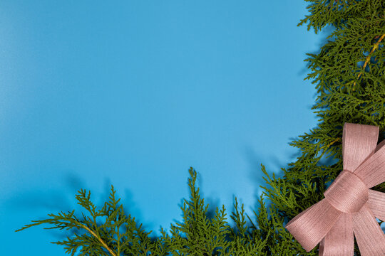 Evergreen branches with pink bow on blue background