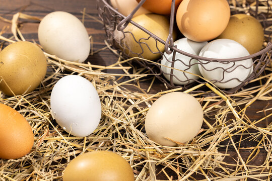 Fresh farm eggs in various colors and a wire basket