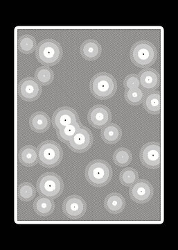 23 Noite Dos Vagalumes