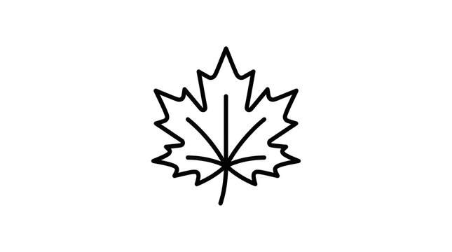 Simple maple leaf illustration