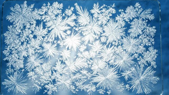 detailed snowflakes collection, winter frost patterns, ice crystals formations, natural geometric shapes, cold weather atmosphere, macro view, frosty window