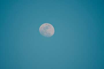 Pale gibbous moon in a clear blue daytime sky with copy space © AzusawaMirai