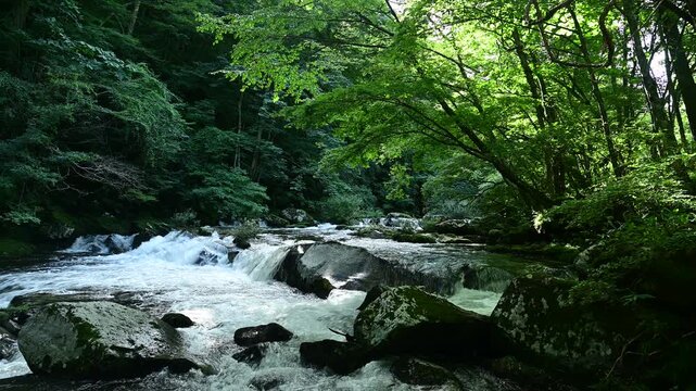 重湍渓