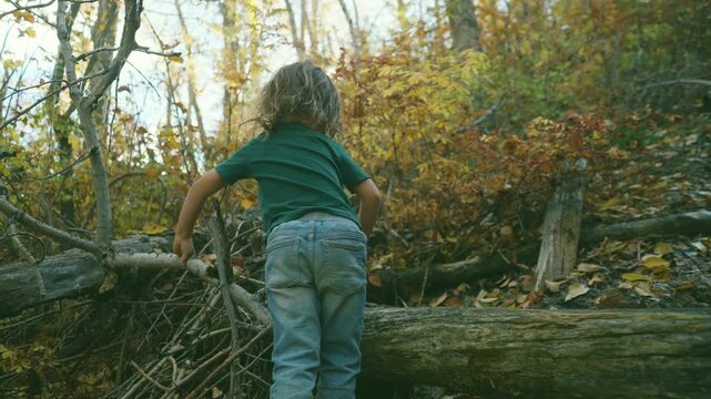 Young boy walking among fallen branches and logs in autumn woodland