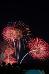 Obraz premium びわ湖大花火大会の夜空を彩る花火。滋賀県大津市で開催されたびわ湖大花火大会。琵琶湖の湖畔を舞台に、色鮮やかな花火が夏の夜空を彩る日本を代表する花火大会。 
