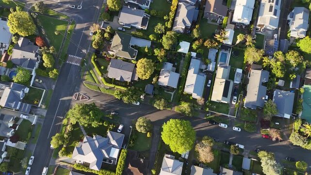 Suburban houses with private pools and lush gardens fill quiet street in Mount Albert, Auckland, New Zealand, parked cars and tree canopy dot residential neighborhood. Aerial drone top down shot