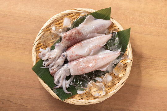 ［新潟県産］赤イカ　ケンサキイカ