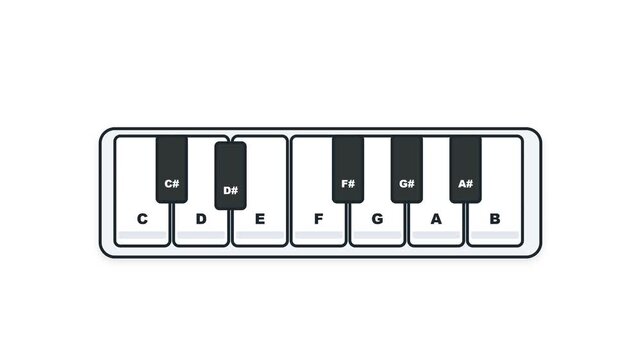 piano keys vector illustration