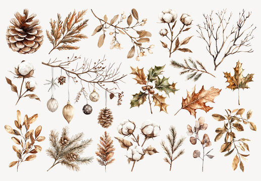 Rustic Botanical Winter Foliage Illustration Element Set