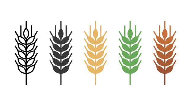 Minimalist wheat ear vector icon set featuring five distinct colored grain stalks for organic agricultural designs