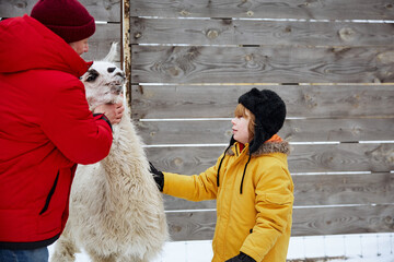 Grandfather and grandson petting llama during a winter outdoor adventure © Drobot Dean