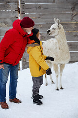 Grandfather and grandson feeding llama during a winter outdoor adventure © Drobot Dean