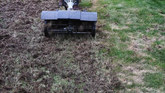 Gas powered dethatcher machine being used to clean up dead grass, moss, and other organic material from grass lawn, landscaping maintenance
