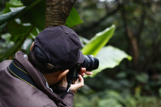A male photographer takes pictures in a lush forest.